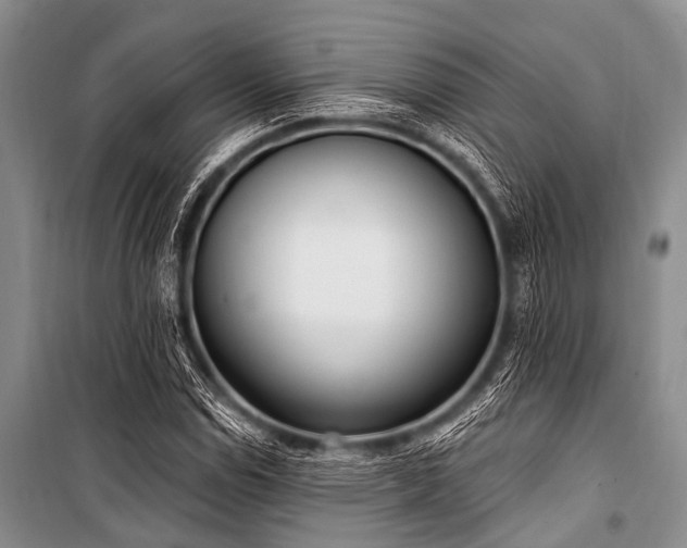 X0000101151114200806270937
