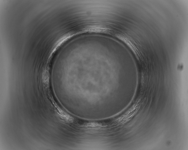 X0000101151115200806270937