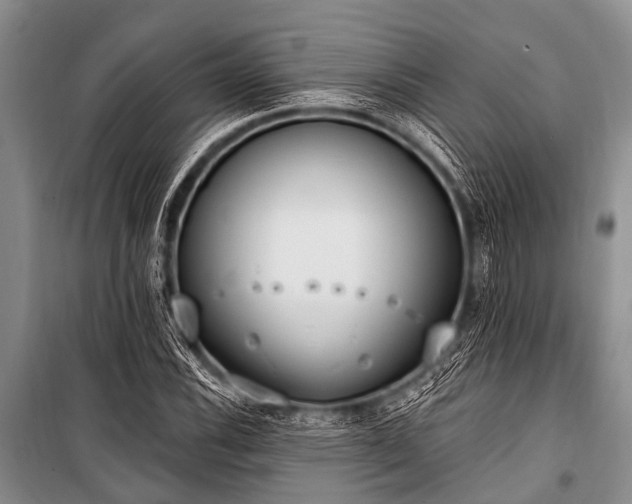 X0000101151116200806270937