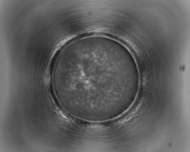 X0000101151117200806270937
