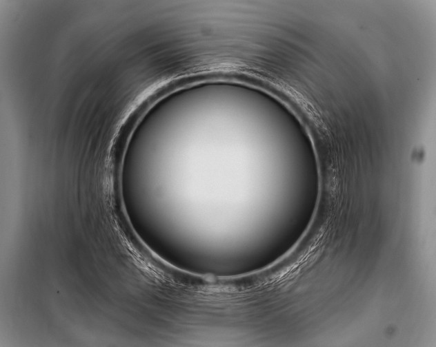 X0000101151118200806270937