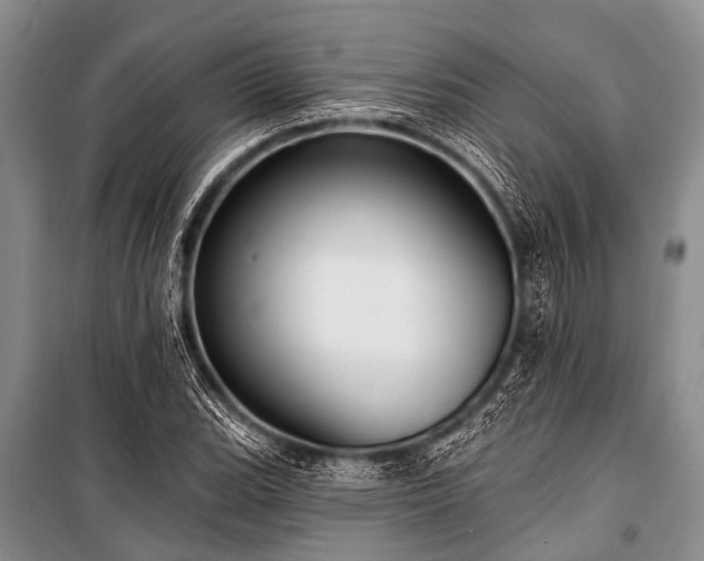 X0000101151119200806270937