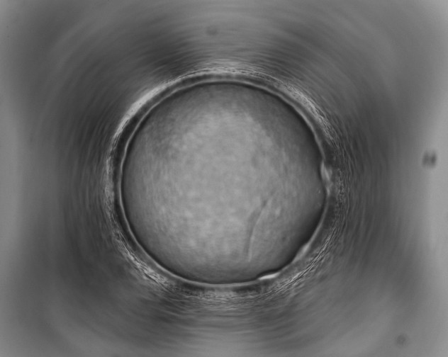 X0000101151120200806270937