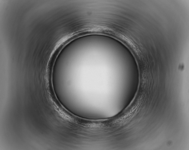X0000101151122200806270937
