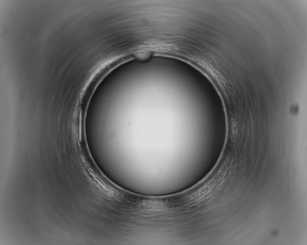 X0000101151123200806270937