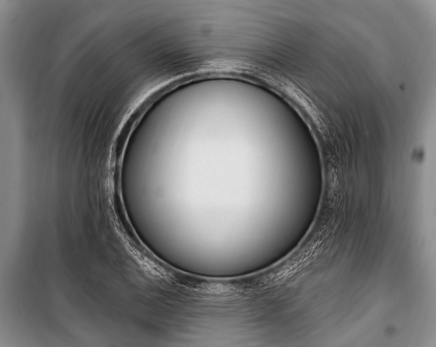 X0000101151124200806270937