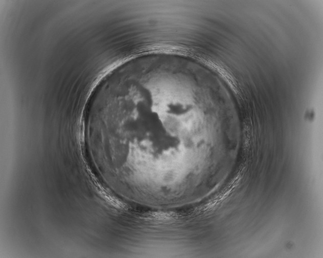 X0000101151125200806270937