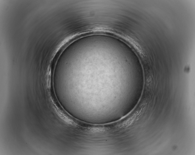 X0000101151126200806270937