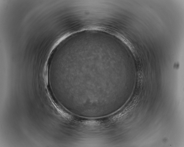 X0000101151127200806270937
