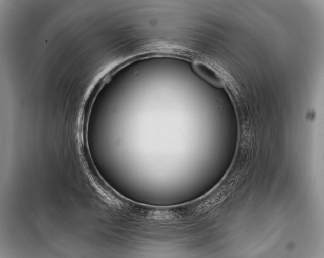 X0000101151128200806270937