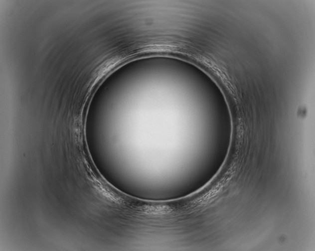 X0000101151129200806270937
