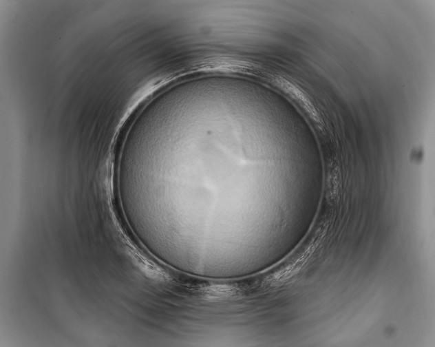 X0000101151130200806270937