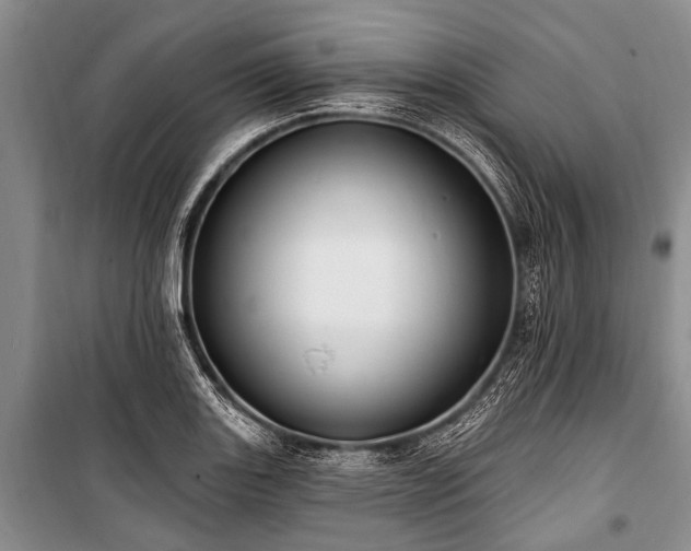 X0000101151131200806270937