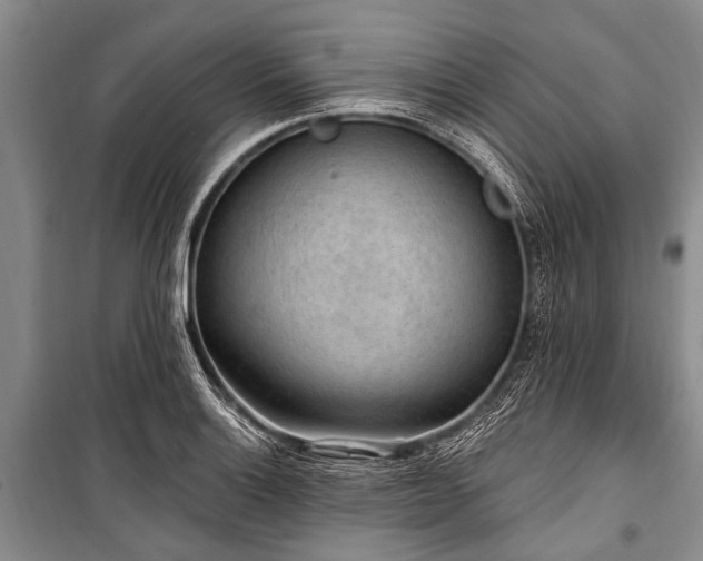 X0000101151132200806270937