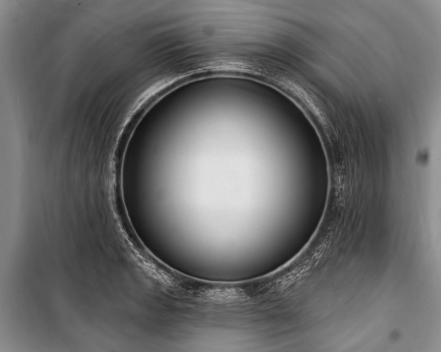 X0000101151133200806270937