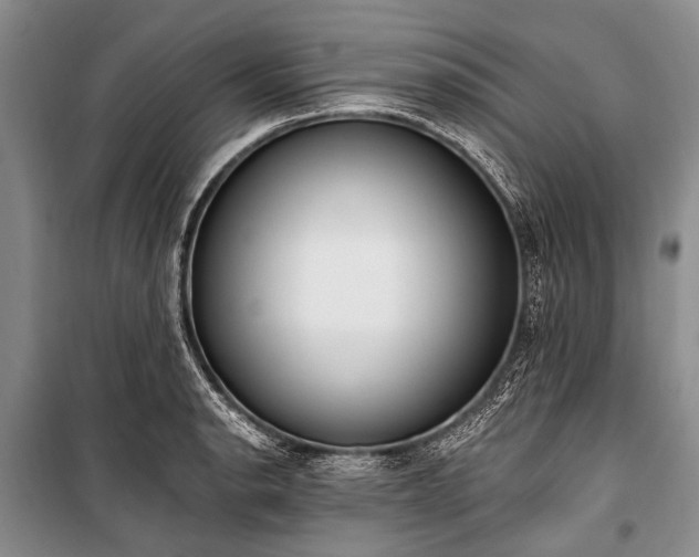 X0000101151134200806270937