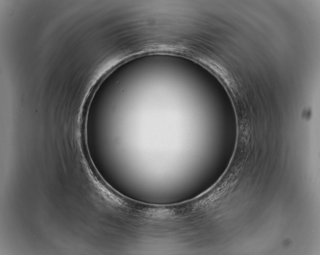 X0000101151135200806270937