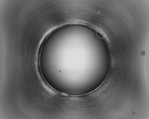 X0000101151136200806270937