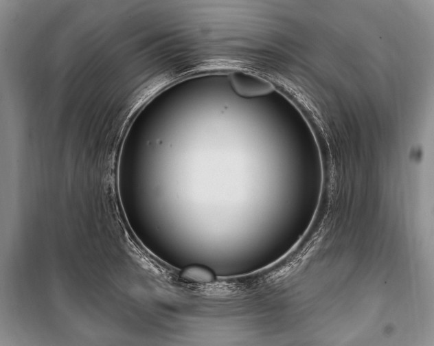 X0000101151137200806270937