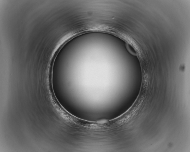 X0000101151138200806270937