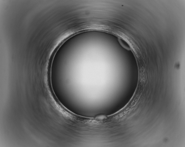 X0000101151139200806270937