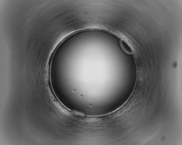X0000101151140200806270937