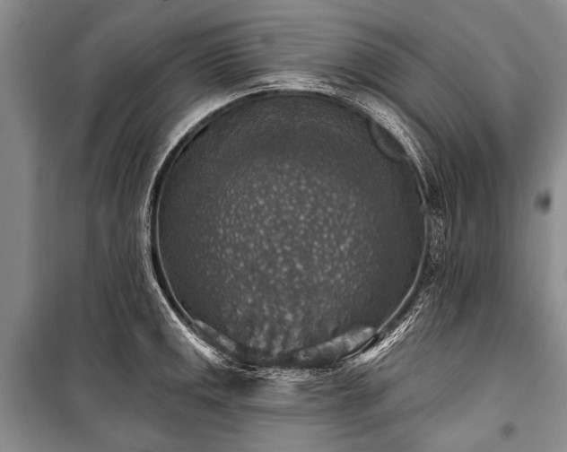 X0000101151141200806270937