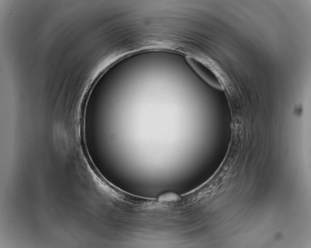 X0000101151143200806270938