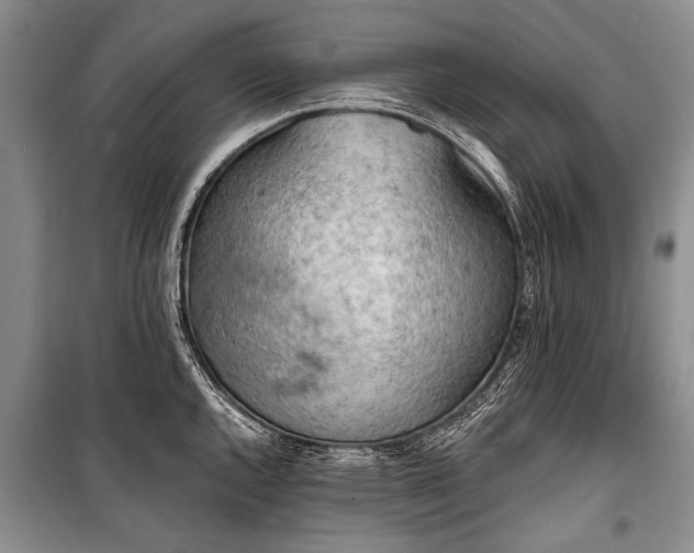 X0000101151144200806270938