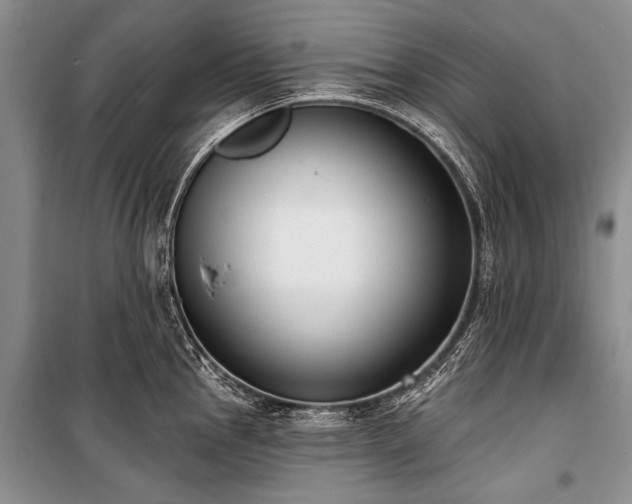 X0000101151145200806270938