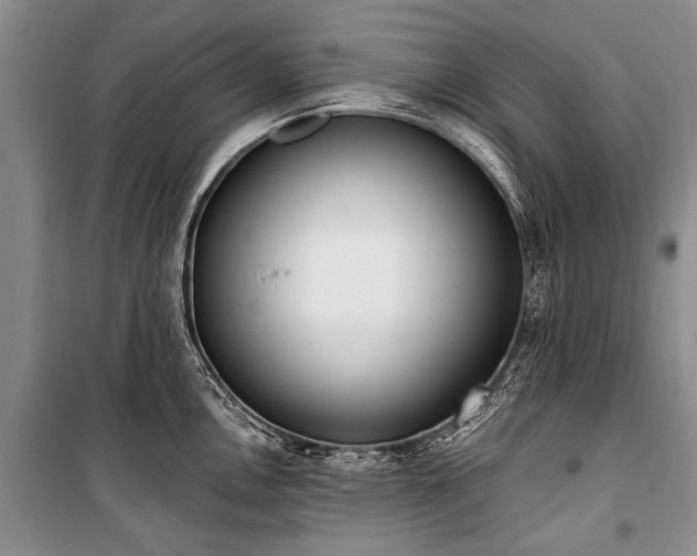 X0000101151146200806270938