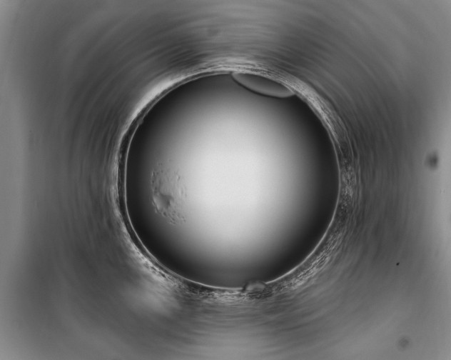 X0000101151147200806270938