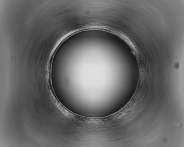 X0000101151148200806270938