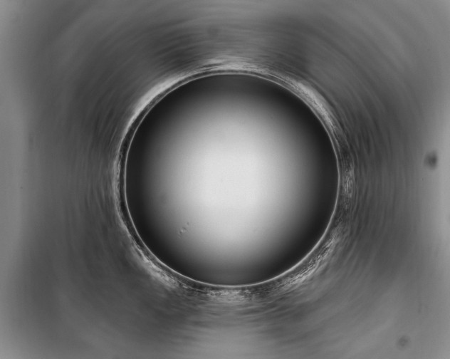 X0000101151149200806270938