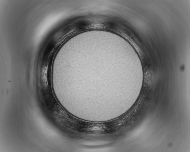 X0000101151150200806270938