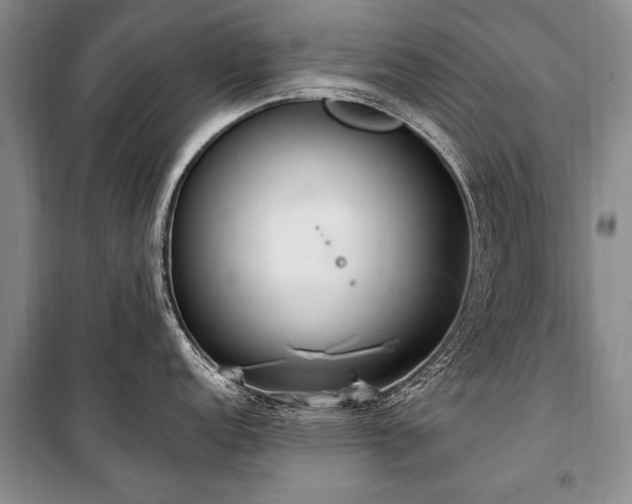 X0000101151152200806270938