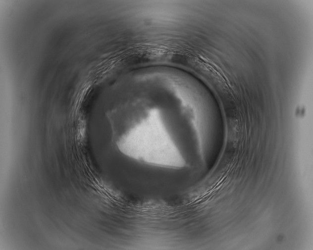 X0000101151154200806270937