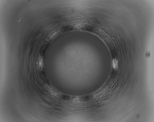 X0000101151155200806270937