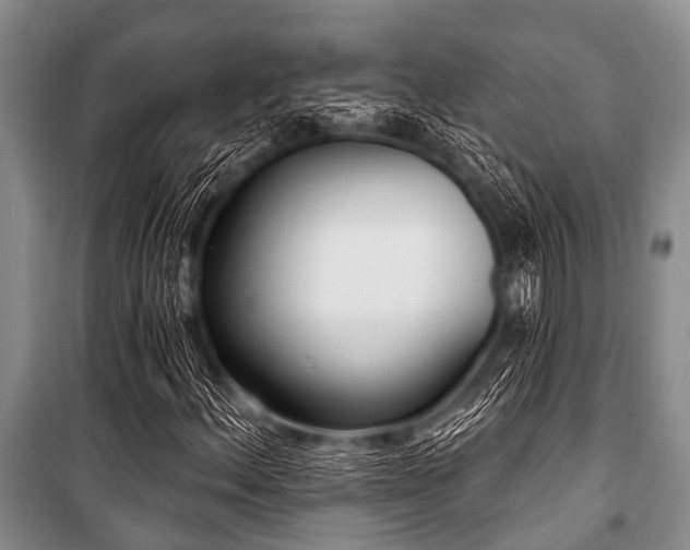 X0000101151156200806270937