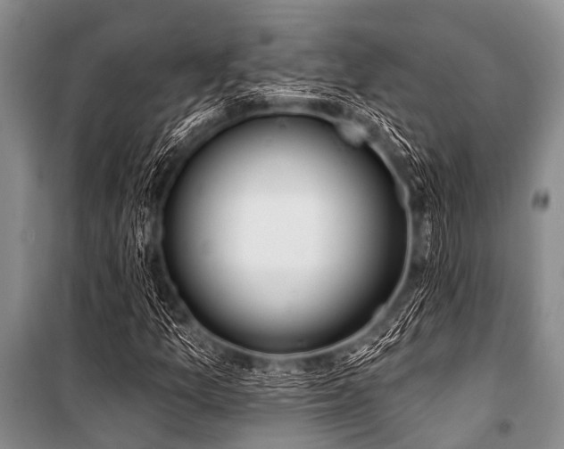 X0000101151157200806270937
