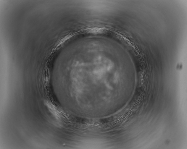 X0000101151158200806270937