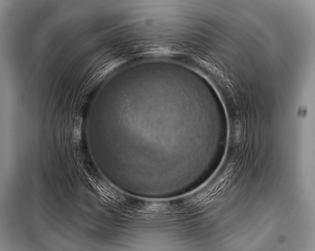 X0000101151161200806270936