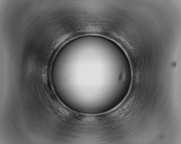X0000101151162200806270936
