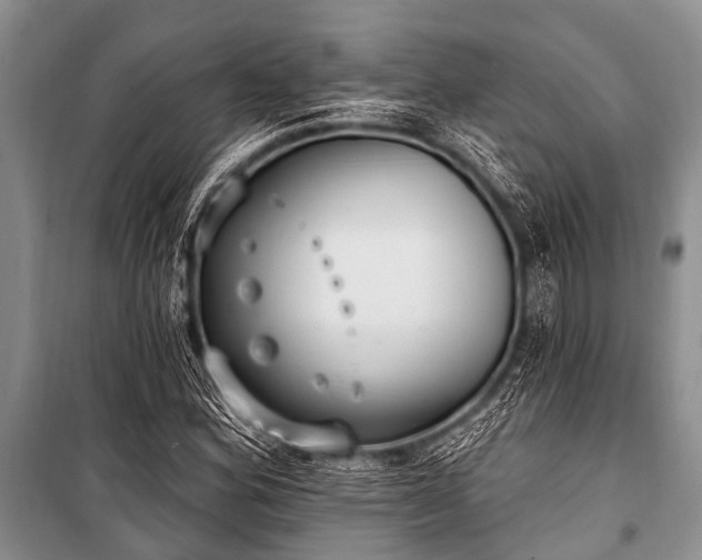 X0000101151164200806270936