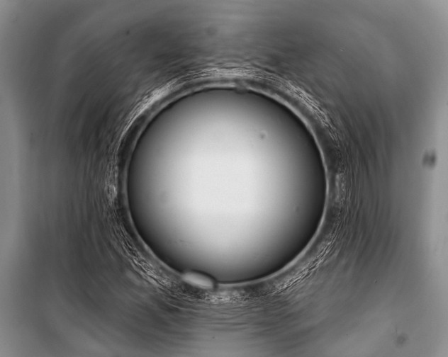 X0000101151165200806270936