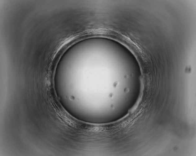 X0000101151166200806270936