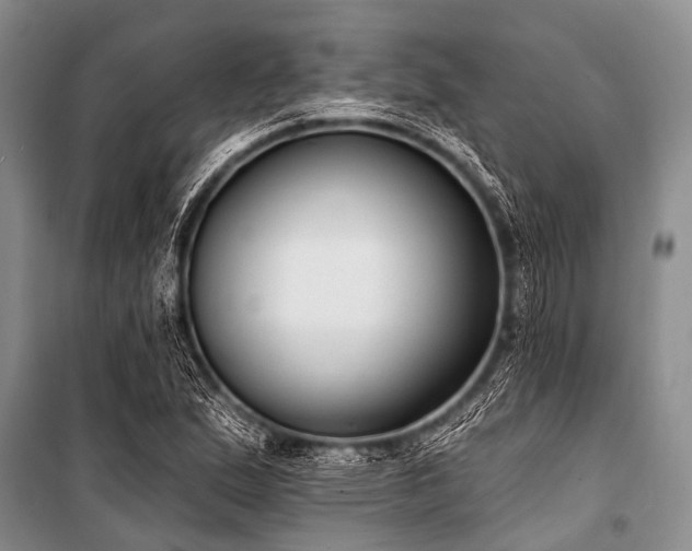 X0000101151167200806270936