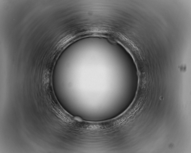 X0000101151169200806270936