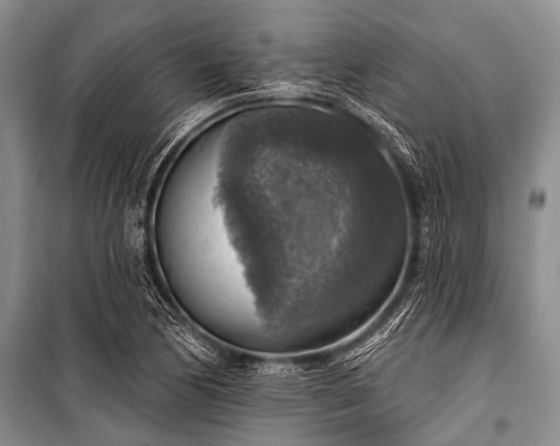 X0000101151170200806270936