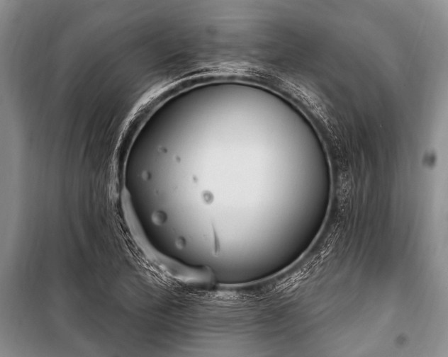 X0000101151172200806270936